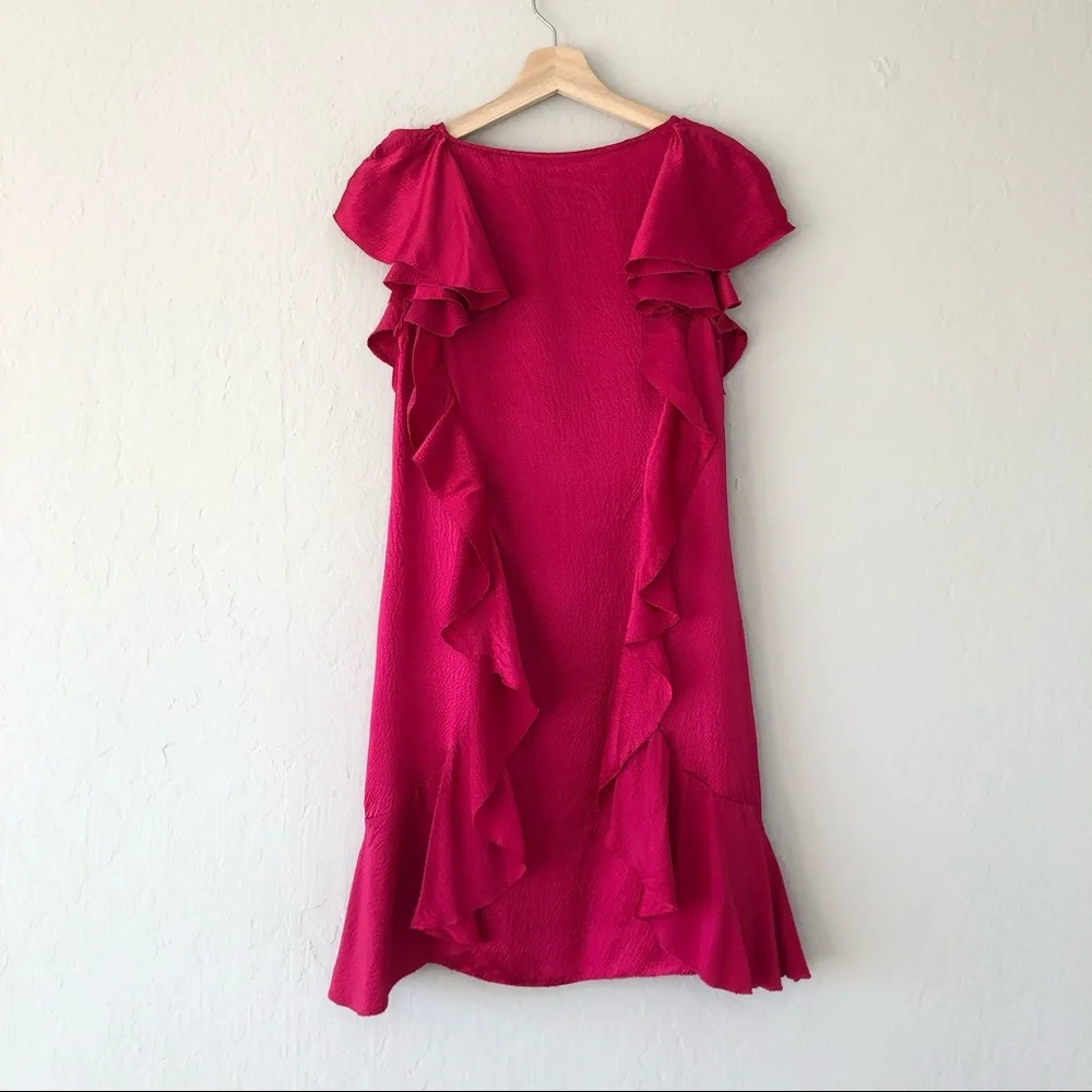 Chloe Ruffle Mini Dress - Picture 3 of 7